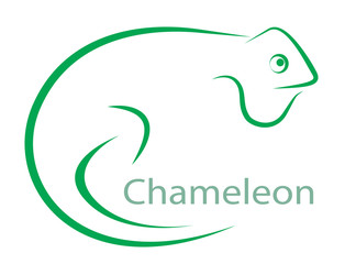 Vector image of an chameleon on a white background