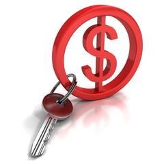 concept key to money with red dollar sign