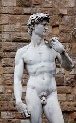 The statue of David