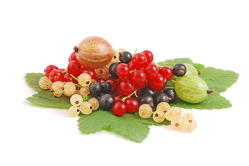 stachelbeeren