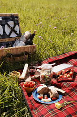 picnic serie