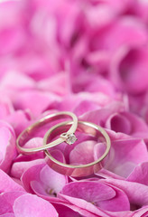 pair of wedding rings on flowers