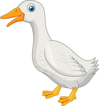 Cute white duck cartoon