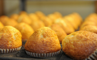 magdalenas en el horno