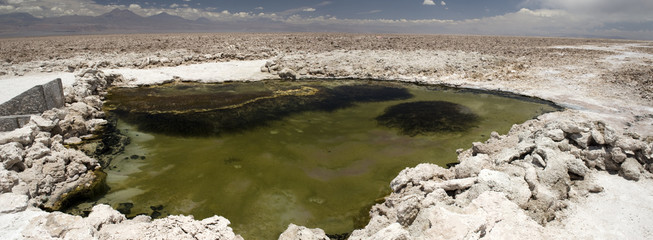 Chilean plateau lagoons