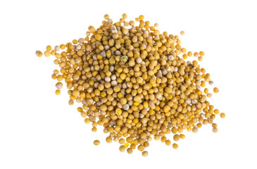 yellow mustard seeds