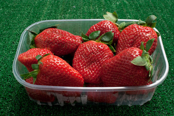 Fragole