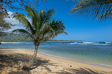 Fototapeta na wymiar USA-Hawaje, Kauai-4991