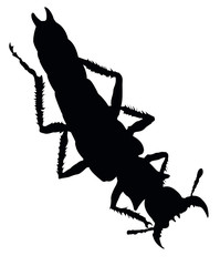 Bug vector silhouette isolated © vadimmmus