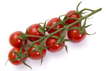 Cherry tomatoes vine isolated on white