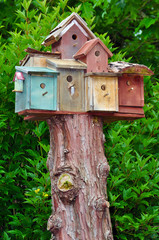 Birdhouse condos
