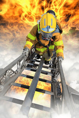 Fototapeta premium Firefighter ascends upon a one hundred foot ladder.