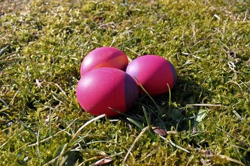 Drei rote Ostereier im Moos