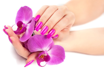 female hands with orchid flower. isolated