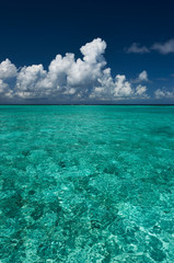 Obraz premium Crystal clear turquoise water at tropical beach