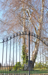 portail devant jardin arboré