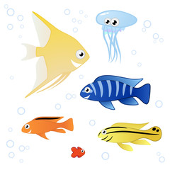 Fototapeta premium Tropical Fishes