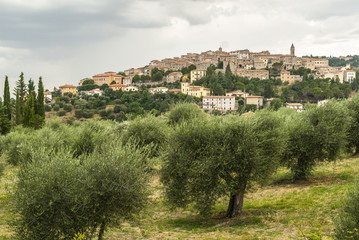 Fototapeta na wymiar Panoramiczny widok z Seggiano w Toskanii