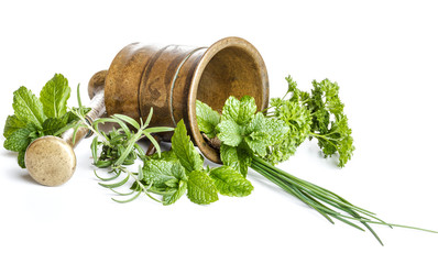 Mortar with fresh herbs