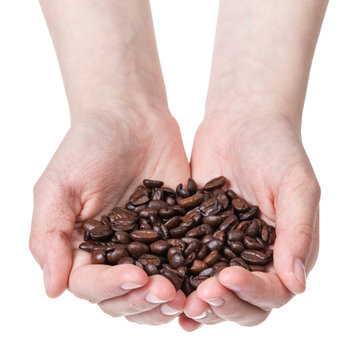 female teen hand holding coffee bean