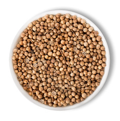 Cilantro in plate isolated