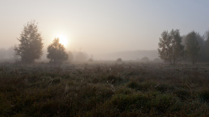 Obraz na płótnie Canvas Autumnal grassland in misty morning with sun over meadow