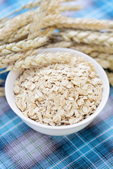bowl of oats