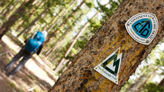 Continental Divide Trail And Colorado Trail Signs