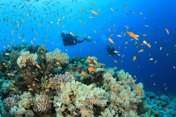 Fotobehang Two Scuba Divers diving on coral reef © Richard Carey