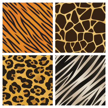 Animal Pattern Collection