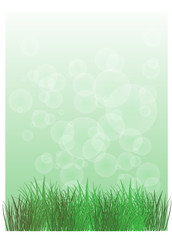 Fototapeta premium A stationery with green grass