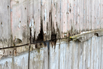 rotting wooden panels crumbling with decay