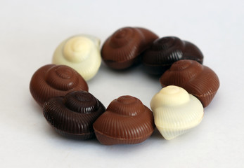 chocolate candy on a white background