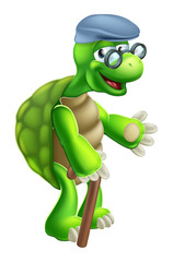 Senior Tortoise Cartoon
