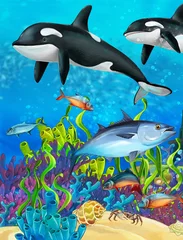 Gartenposter Das Korallenriff - Illustration für die Kinder © honeyflavour