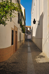 Narrow street in the historical centre of Cordoba, Spain.