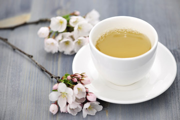 Cup of green tea and japanese cherry blossom