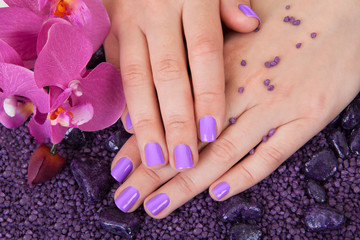 Fototapeta premium Human Fingers With Beautiful Manicure