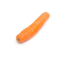 Isolated Carrot