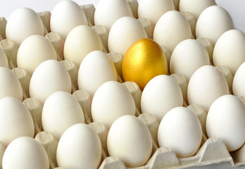 Golden egg among hen eggs in pack