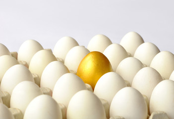 Golden egg among white eggs