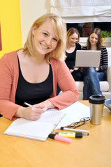 Junge Frauen beim gemeinsamen Lernen