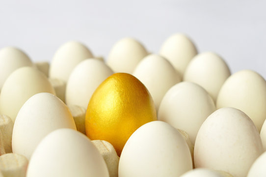 Surprise - golden egg among white eggs