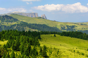 sciliar