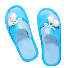 Domestic blue slippers