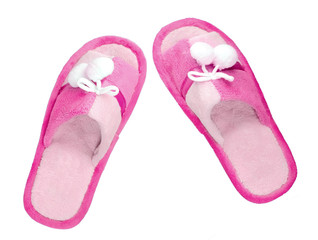 Domestic blue slippers