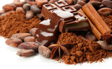 Composition of chocolate sweets, cocoa and spices, isolated