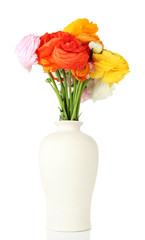 Ranunculus (persian buttercups) in vase, isolated on white