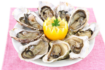 Oysters isolated on white