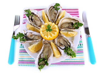 Oysters isolated on white